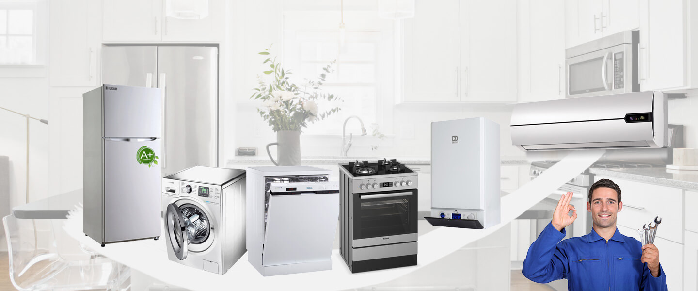Aralık Warmhaus Servisi